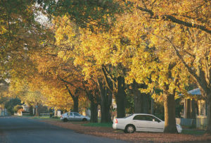 Autumn in Victoria