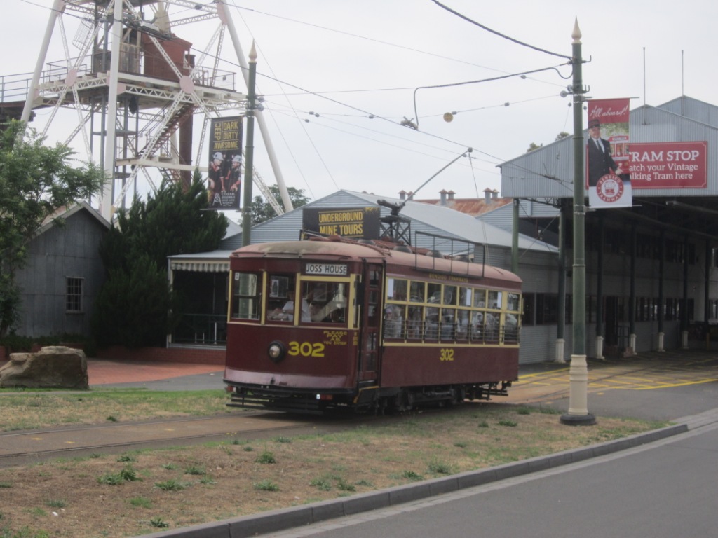 Bendigo Tram