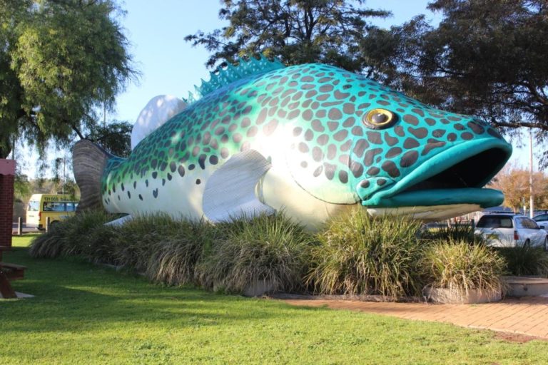 Big Fish